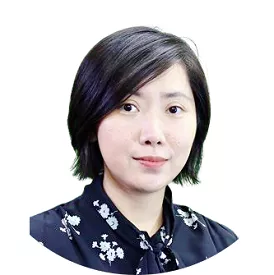 Chinese Lawyer
